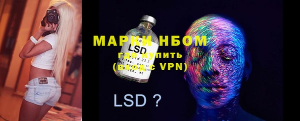индика Волосово