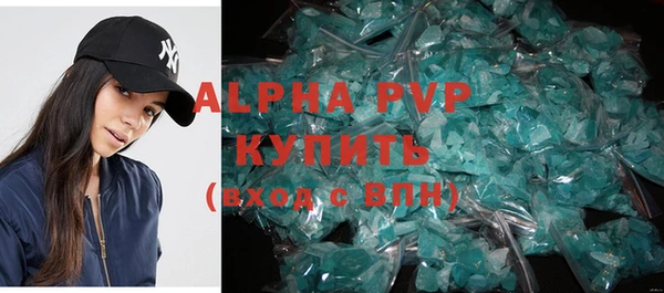 индика Волосово