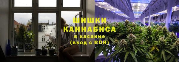 индика Волосово