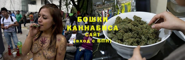 индика Волосово